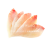 Sashimi Daurade