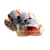 Sashimi Maquereau